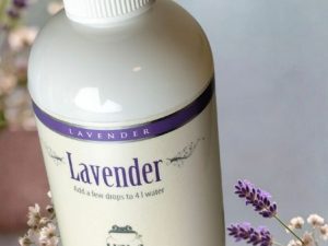 17273 Hyla tuoksu aventeli