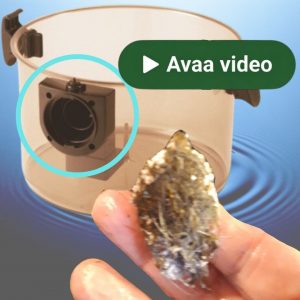 Hyla videot